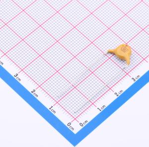 VY1681M29Y5UC63V0商品缩略图