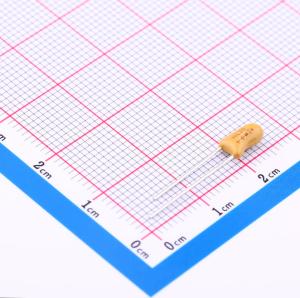 199D106X9025C1V1E3商品缩略图