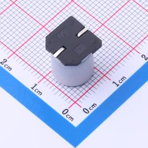 PCV1CVM102MCACFVTSWP商品缩略图