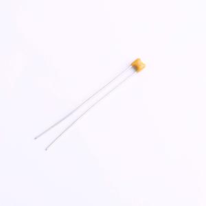 SR205C104KAR商品缩略图