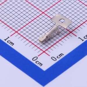 DF11-2428SCFA商品缩略图