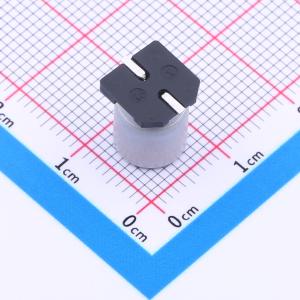 RVE1V101M0810商品缩略图