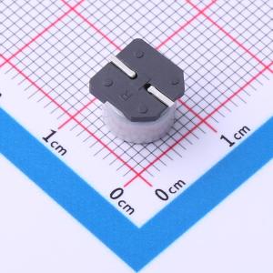 25SKV100M8X6.5商品缩略图