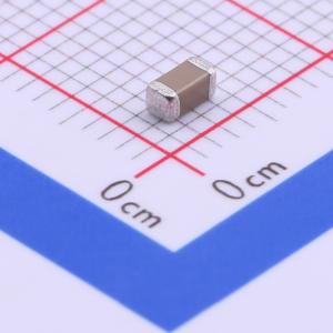 FS31B106K160EPG商品缩略图