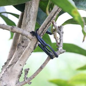 0070900002商品缩略图