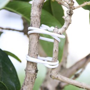 0070900007商品缩略图