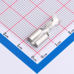 170032-4商品缩略图
