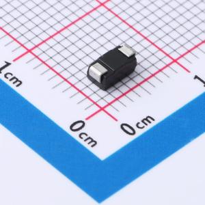 RS1B(SMAG)商品缩略图