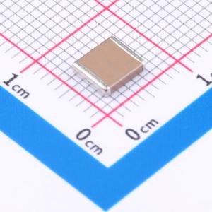 C2220X102K102T商品缩略图