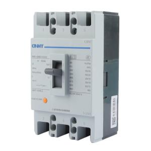 NM1-125S/33002 100A G商品缩略图