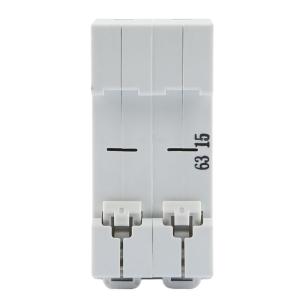 DZ47G 2P 63A商品缩略图