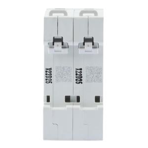 DZ47s D 2P 25A商品缩略图