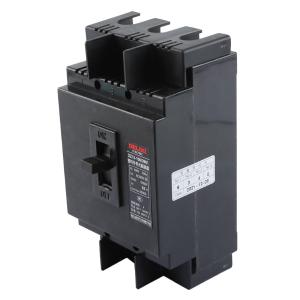 DZ15-100/3901 63A商品缩略图