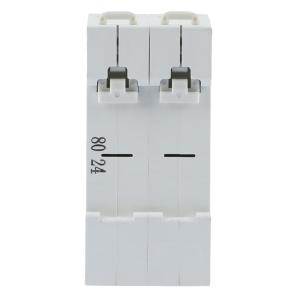 DZ47G 2P 80A商品缩略图