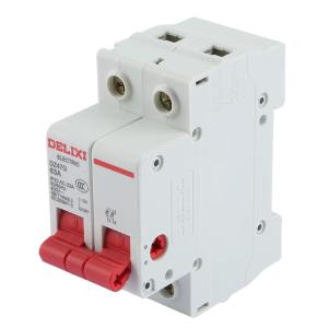 DZ47G 2P 63A商品缩略图