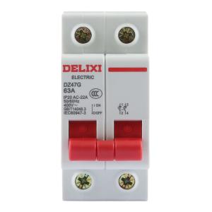 DZ47G 2P 63A商品缩略图