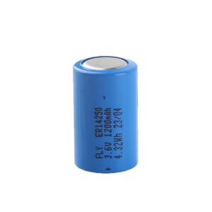 FLYOUNG(远阳) 锂亚电池 3.6V 1200mAh 1个