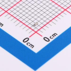 CQ0402FRNPO9BN100商品缩略图