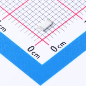 RT1206BRE07100RL商品缩略图