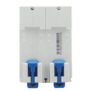 DZ158-125 2P 125A(R)商品缩略图