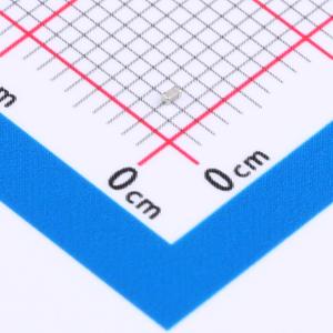 CQ0402ARNPO9BN1R1商品缩略图