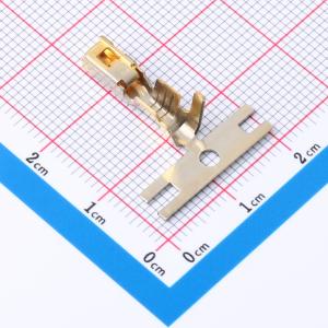 SJ4F-81GF-M3.0商品缩略图