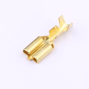 170032-1商品缩略图