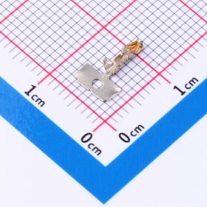 DF11-30SCFA商品缩略图