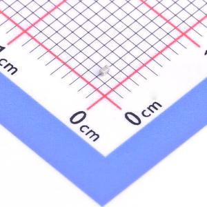 CC0402BRNPO9BN1R3商品缩略图