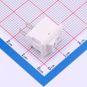 SS01-WWIBA-RA20-R商品缩略图