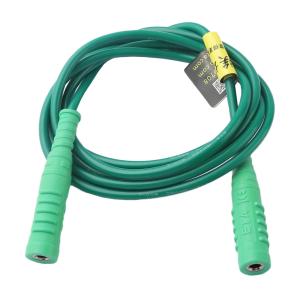 ETA(埃塔) 香蕉插座转香蕉插座测试线 ETA4368-4 1200mm 1000V 15A 绿色 1根
