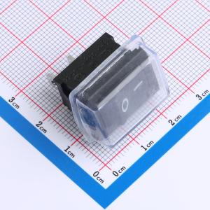 SS11-BBIWG-R20-C商品缩略图