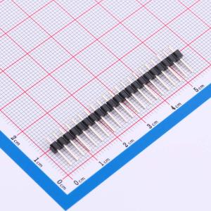 DS1021-1x21SF11-B商品缩略图
