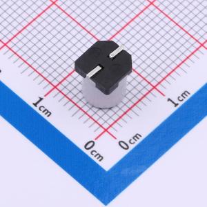 GVE1E107M0608CNVC商品缩略图