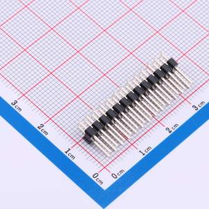 DS1021-2x13SF11-B商品缩略图