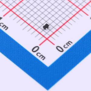 2SA2029-R-MS商品缩略图