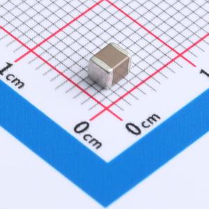 10uF ±10% 63V
