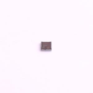 HT16L23-CHIP商品缩略图