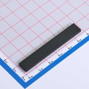 1x22P 间距:2.54mm 直插