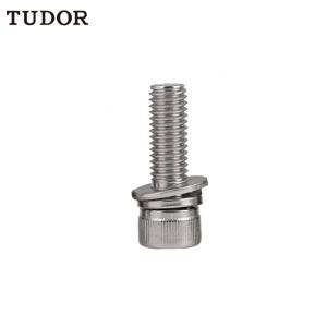 TUDOR/帝都 不锈钢 组合螺丝 内六角三组合 M3x10 2T3558