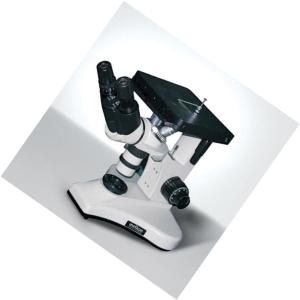 MK94036商品缩略图