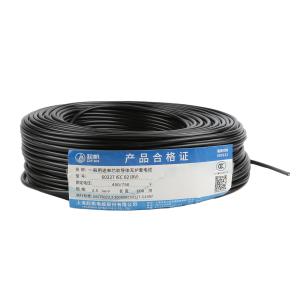 RV-450/750V1X2.5Black商品缩略图