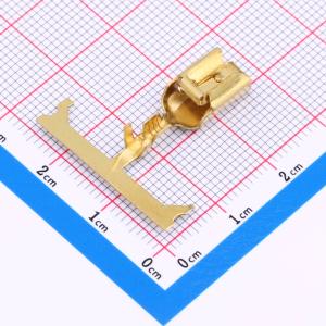 880646-1商品缩略图