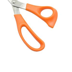 155585商品缩略图