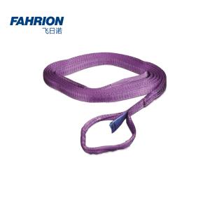 FAHRION(飞日诺) 扁平双扣吊带 1000kg GD99-900-87