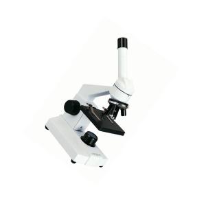 TS211919商品缩略图