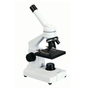 TS211919商品缩略图