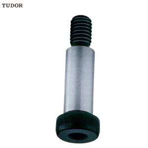 {一整袋100支}TUDOR/帝都 公制内六角孔塞打螺丝 M24(M20-2.5牙)mm L55mm TUO240055