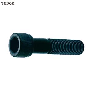 {一整袋100支}TUDOR/帝都 公制内六角孔杯头螺丝 M16-2.0mm L25mm TU160025-149