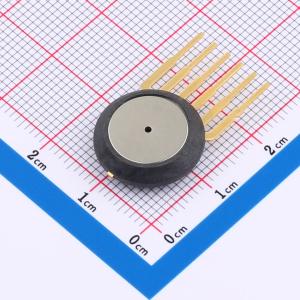 GZP6873A250KPP50H商品缩略图